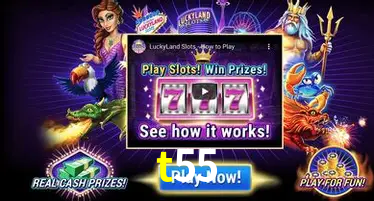 Live Casino t55